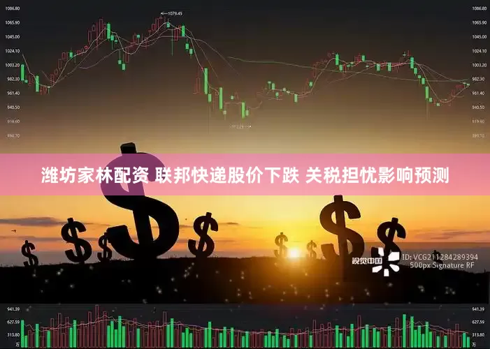 潍坊家林配资 联邦快递股价下跌 关税担忧影响预测