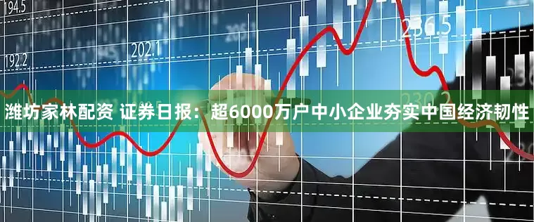 潍坊家林配资 证券日报：超6000万户中小企业夯实中国经济韧性