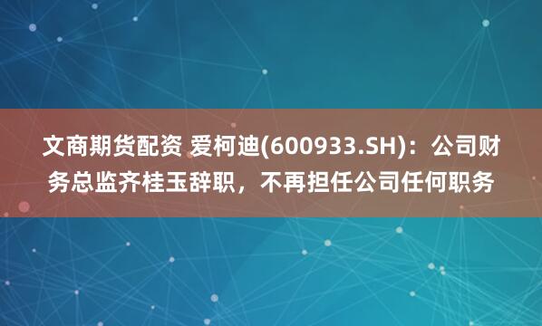 文商期货配资 爱柯迪(600933.SH)：公司财务总监齐桂玉辞职，不再担任公司任何职务
