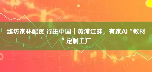潍坊家林配资 行进中国｜黄浦江畔，有家AI“教材”定制工厂