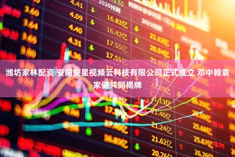 潍坊家林配资 安阳安星视频云科技有限公司正式成立 邓中翰袁家健共同揭牌