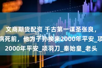 文商期货配资 千古第一谋圣张良,有多牛?刘邦病死前,他为子孙换来2000年平安_项羽刀_秦始皇_老头