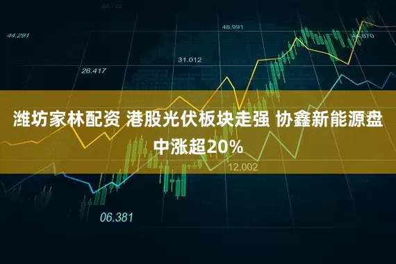 潍坊家林配资 港股光伏板块走强 协鑫新能源盘中涨超20%