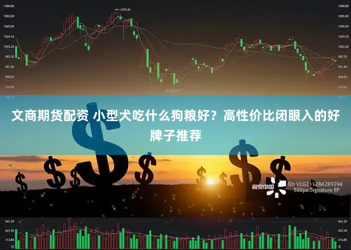 文商期货配资 小型犬吃什么狗粮好？高性价比闭眼入的好牌子推荐